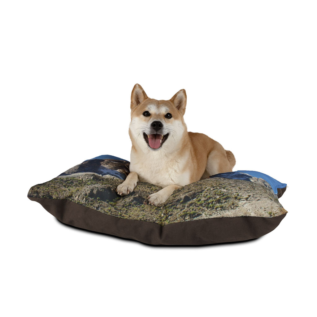 Mount Kenya Pet Bed - {{variant_title}} | litemerch