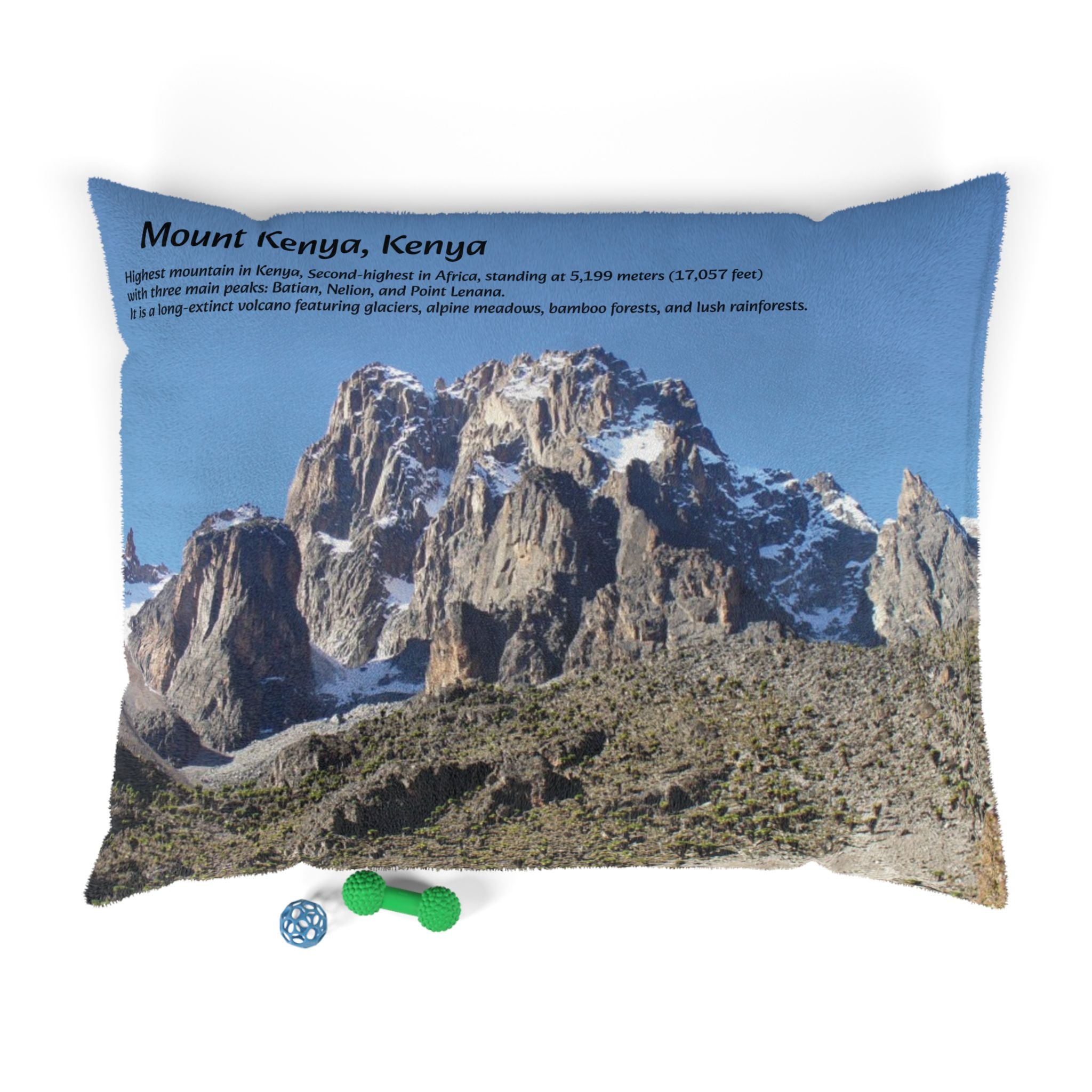 Mount Kenya Pet Bed - {{variant_title}} | litemerch