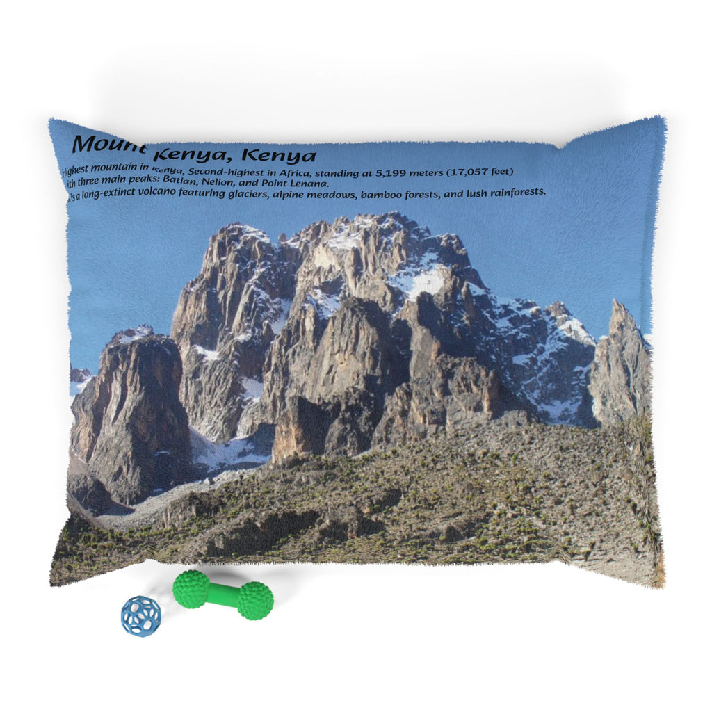 Mount Kenya Pet Bed - {{variant_title}} | litemerch