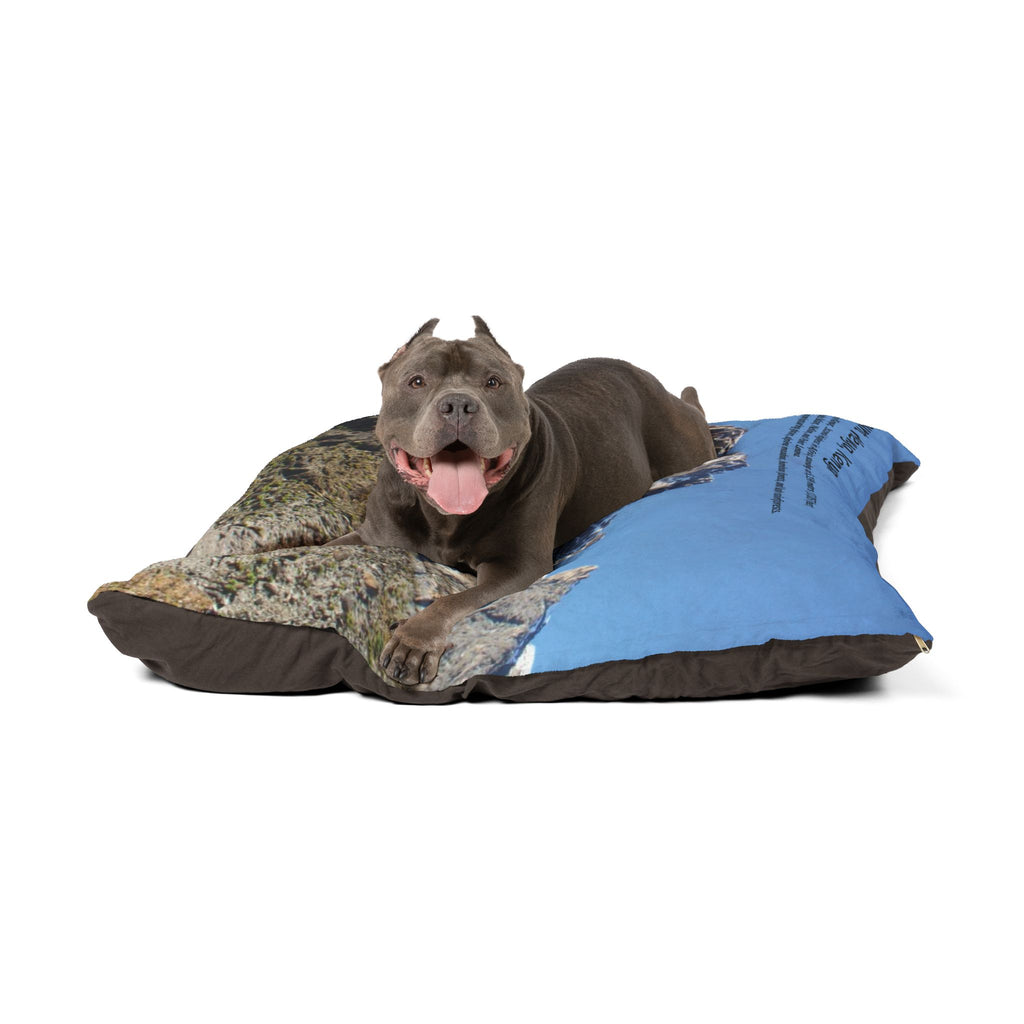 Mount Kenya Pet Bed - {{variant_title}} | litemerch