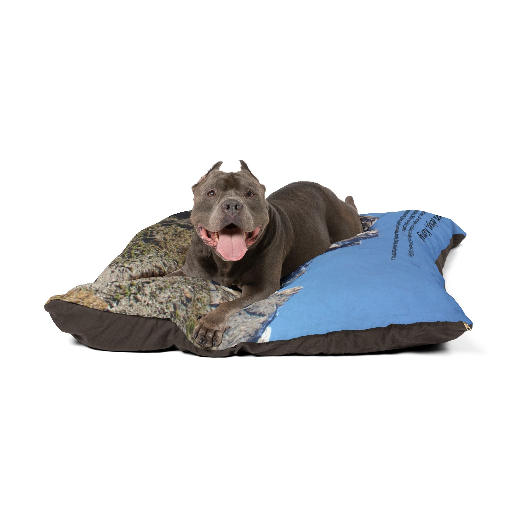 Mount Kenya Pet Bed - {{variant_title}} | litemerch